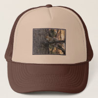 Chapeau de camion écureuil d'arbre