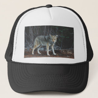 Casquette Chasse de coyote