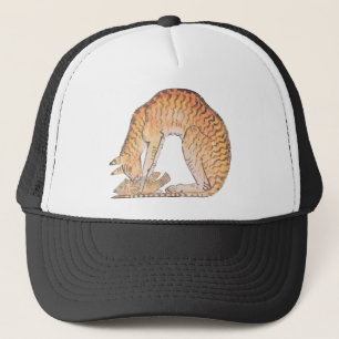 Casquette chat avec poisson