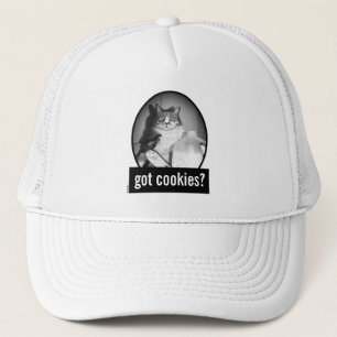 Casquette Chat Boire Du Lait De Jug