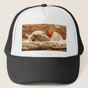 Casquette Chat couché