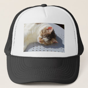 Casquette Chat dormant dans un jardin
