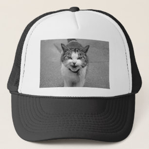 Casquette Chat en colère