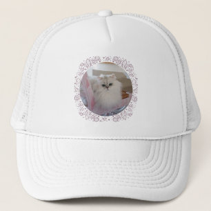 Casquette Chat Persan Blanc sur une Chaise Rose