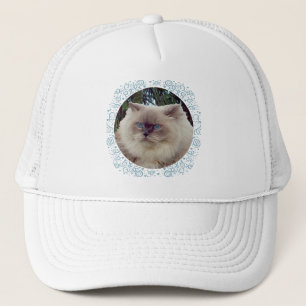 Casquette Chat Persan Himalayen