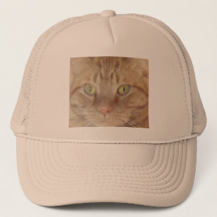 Casquette Chat Tabby Orange