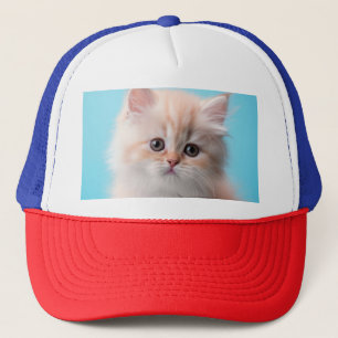 Casquette Chaton adorable avec fond bleu
