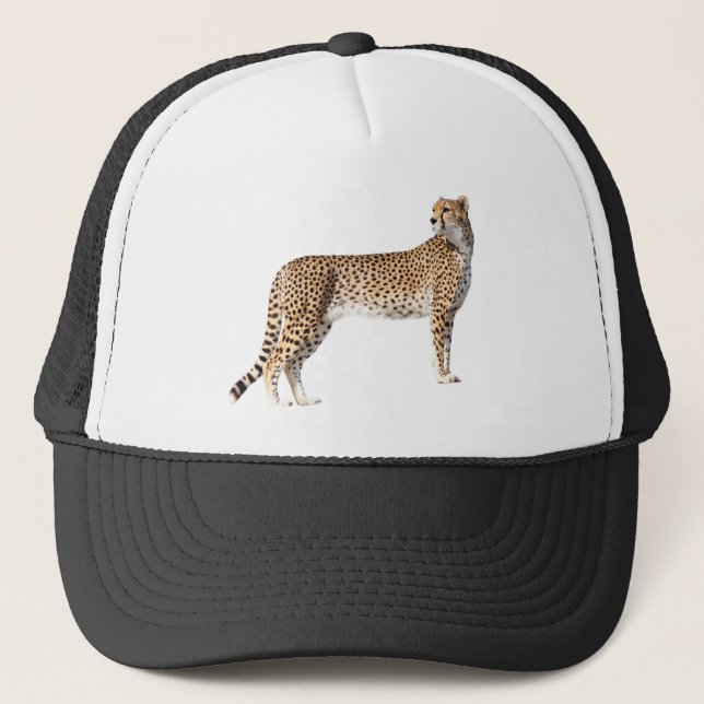 Casquette Cheetah debout (Devant)