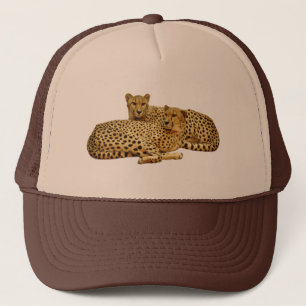 Casquette Cheetahs