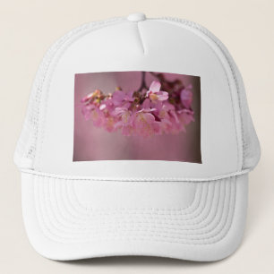 Casquette Cherry Blossoms Hot Spring 2012 Vêtements & Cadeau