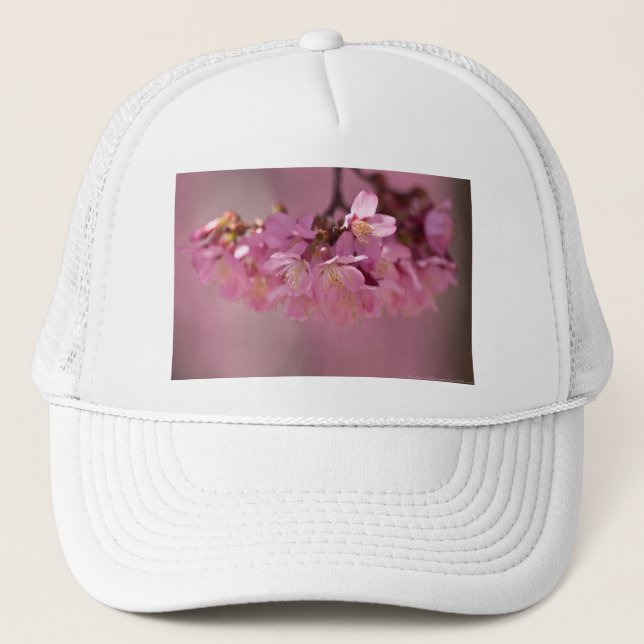 Casquette Cherry Blossoms Hot Spring 2012 Vêtements & Cadeau (Devant)