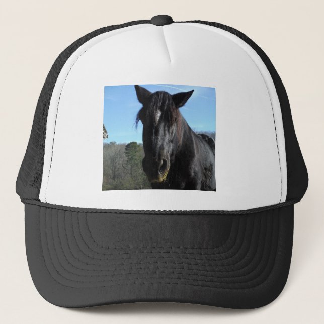 Casquette Cheval à bascule noir secouru (Devant)