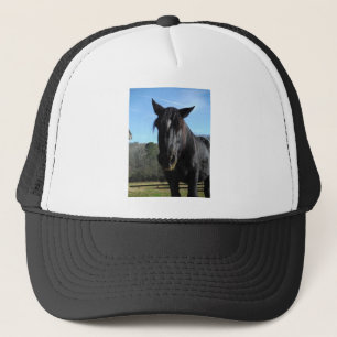 Casquette Cheval à bascule noir secouru