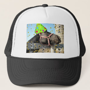 Casquette Cheval animal de fête