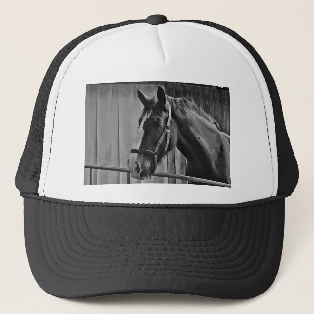 Casquette Cheval blanc noir - Art de la photographie animale (Devant)