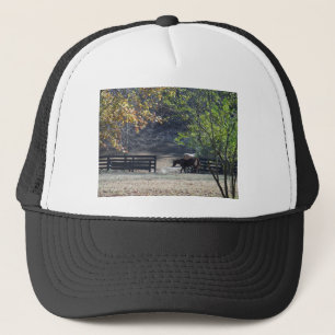 Casquette Cheval Brown à pied à travers la clôture