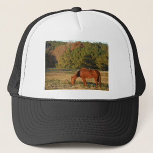 Casquette Cheval Brown aux pins
