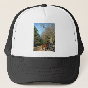 Casquette Cheval Brown contre une clôture