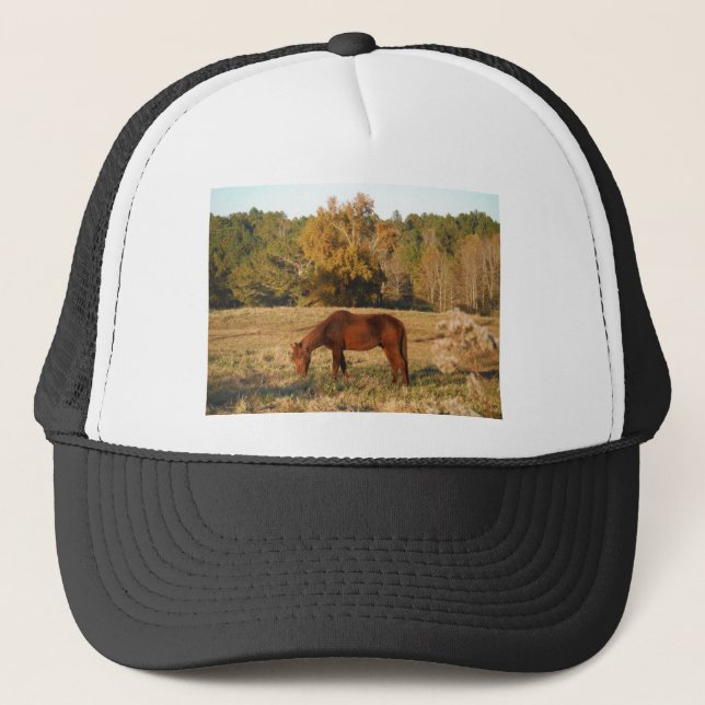 Casquette Cheval Brown dans le champ d'arbre jaune (Devant)