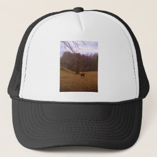 Casquette Cheval Brown et blond dans un champ