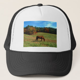 Casquette Cheval Brown rouge, arbres de chute, ciel bleu