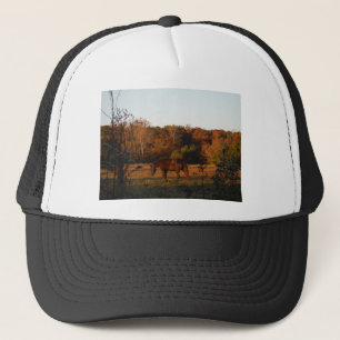 Casquette Cheval Brown rouge, bois d'automne.