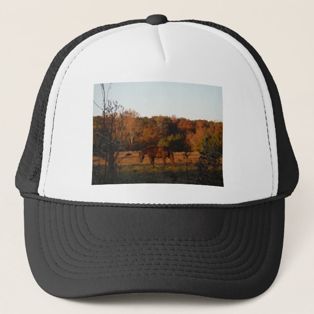 Casquette Cheval Brown rouge, bois d'automne. (Devant)