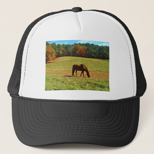 Casquette Cheval Brown rouge dans les arbres d'automne (Devant)
