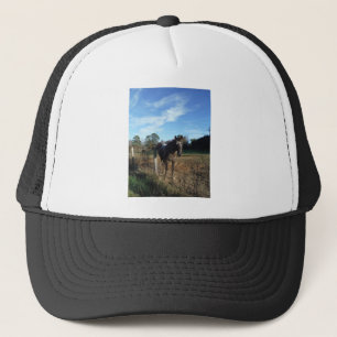 Casquette Cheval brun Coco et Crème