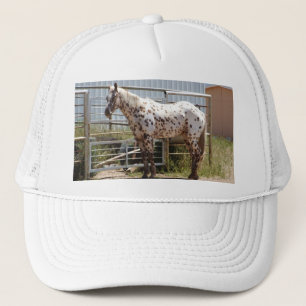 Casquette Cheval d'Appaloosa repéré par brun