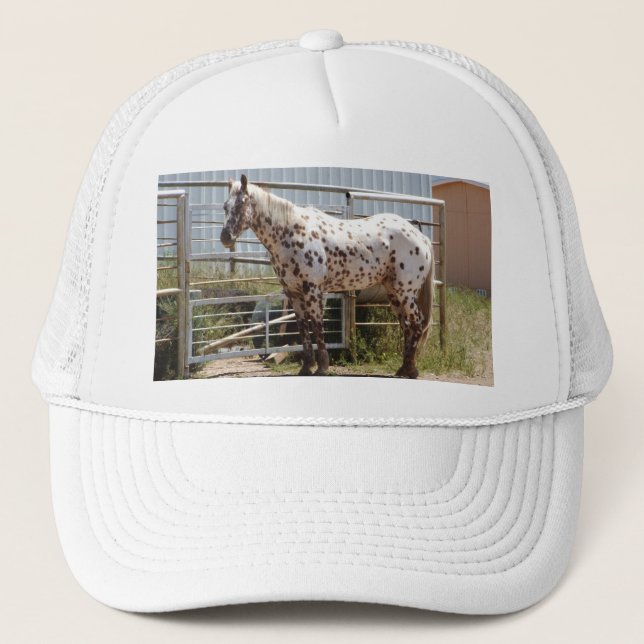 Casquette Cheval d'Appaloosa repéré par brun (Devant)