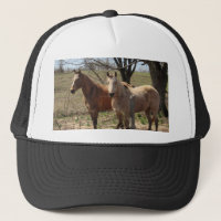 Cheval Designs Par Breana Pope