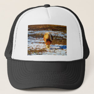 Casquette Cheval miniature Brown et crème dans la neige.