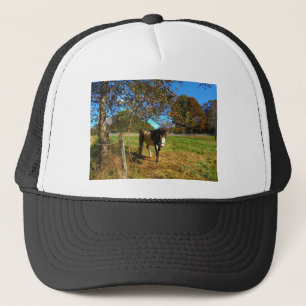 Casquette Cheval Peint,