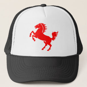Casquette Cheval Stallion Equestre Animal Equine Mane