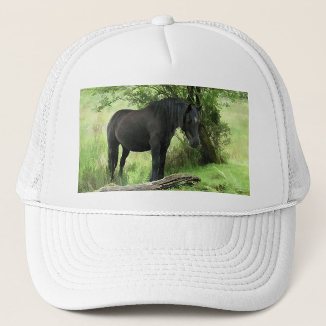 CASQUETTE CHEVAUX (Devant)