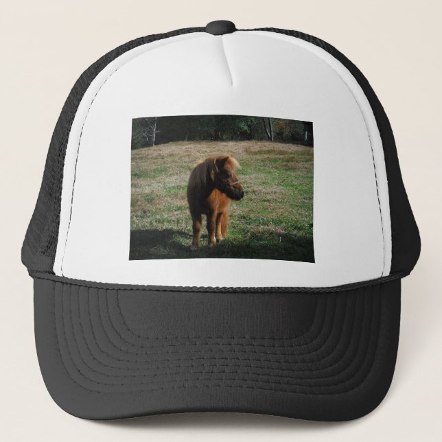 Casquette Chevaux miniatures Brown (Devant)