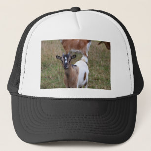 Casquette Chèvre dans un champ