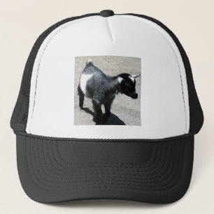 Casquette Chèvre de bébé