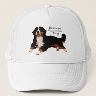 Casquette chien de montagne bernois