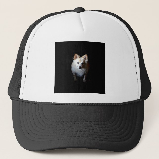 Casquette Chien de Poméranie en noir (Devant)