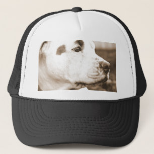 Casquette chien pitbull couleur sépia haine acte pas race