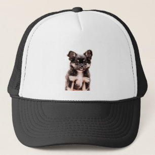 Casquette Chihuahua Chien chiot
