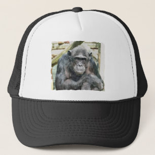 CASQUETTE CHIMPANZÉS