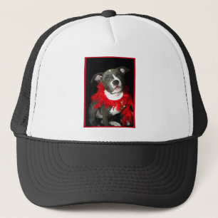 Casquette Chiot bleu de Pitbull