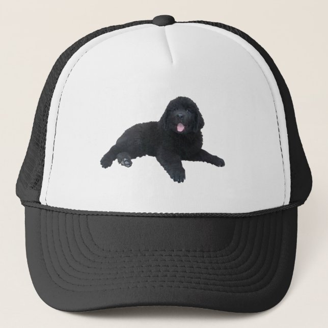 Casquette Chiot de Terre-Neuve (Devant)
