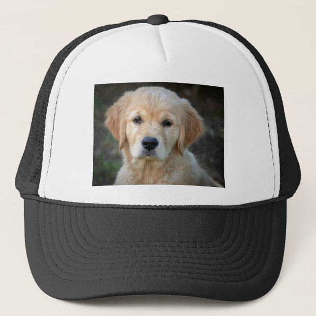 Casquette Chiot Golden Retriever (Devant)