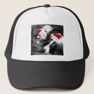 Casquette chiots pitbulles de Noël endormis adorable père No