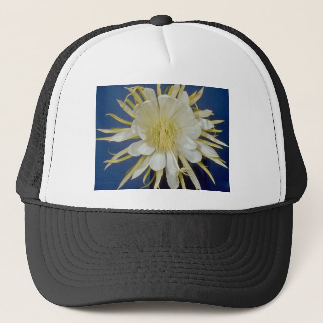 Casquette cierge de floraison de nuit blanche (undatus de (Devant)