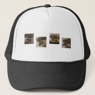 Casquette Clouez le Hedgie